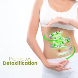 Alternative view of Audgx HerbalFirm Cellulite Reduction Patches