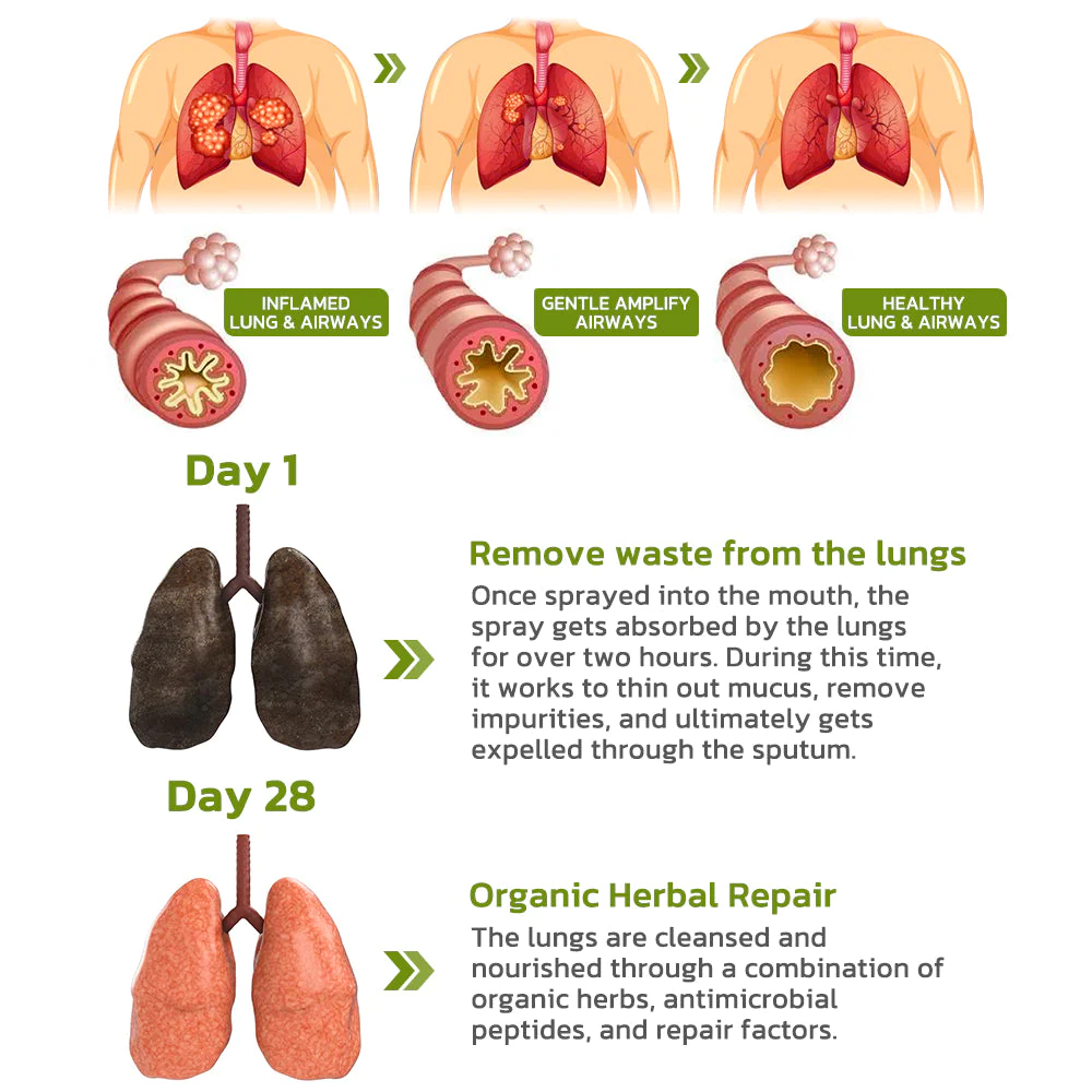 GFOUK BreathDetox Herbal Lung Cleansing Spray - Image 4