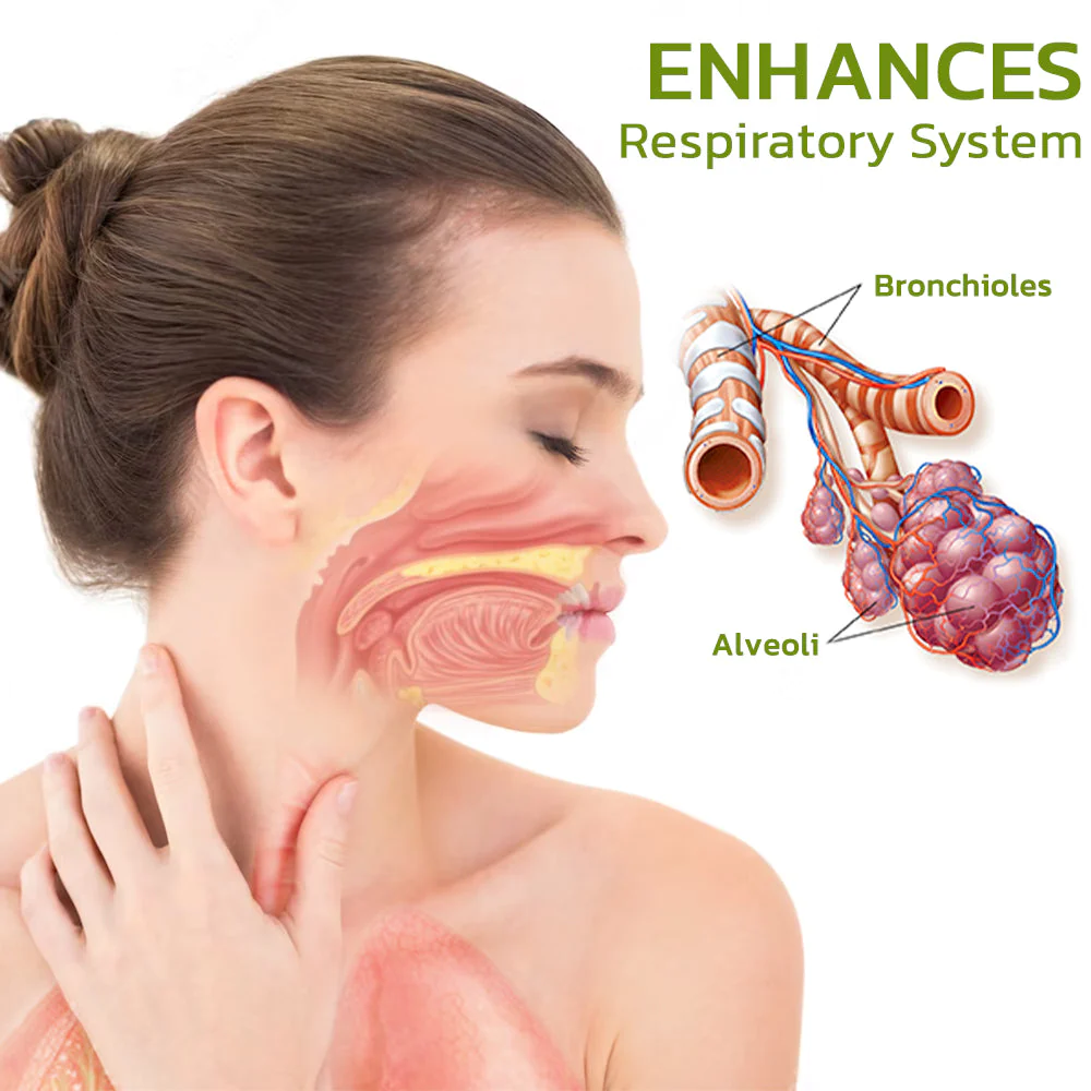 GFOUK BreathDetox Herbal Lung Cleansing Spray - Image 5