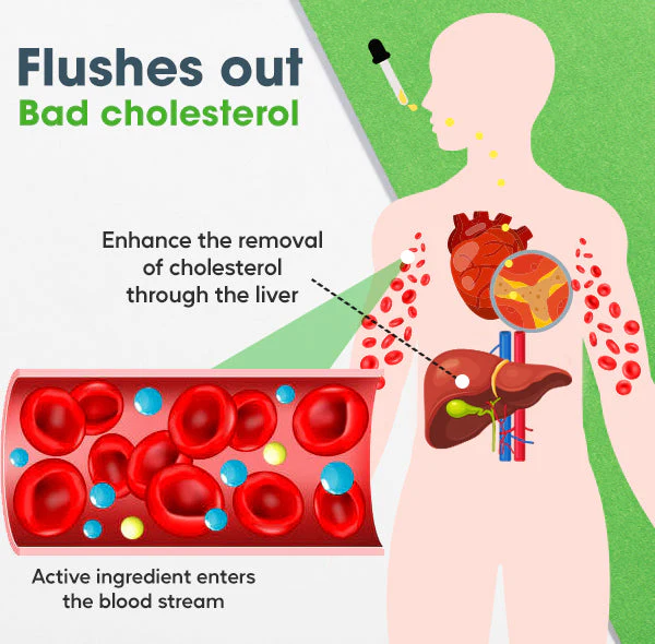 MediCare™ Cholesterol Control Drops - Image 4