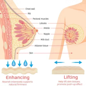 ATTDX BreastEnhance Lifting Serum Ampoules