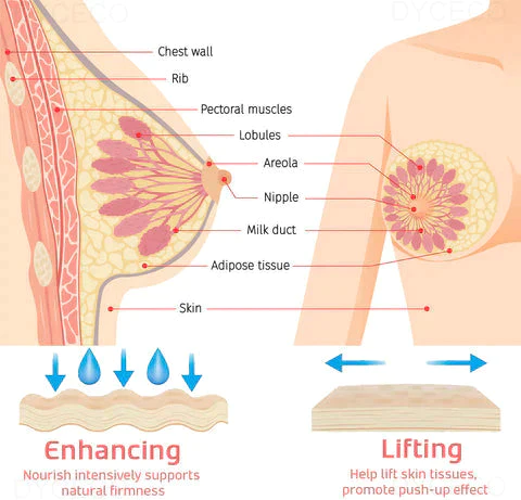 ATTDX BreastEnhance Lifting Serum Ampoules