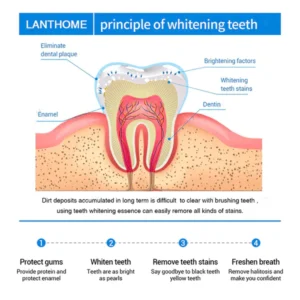 LANTHOME™ Dents Blanchiment Essence