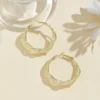 Liascy™ LymphaFit Twist Hoop Earrings