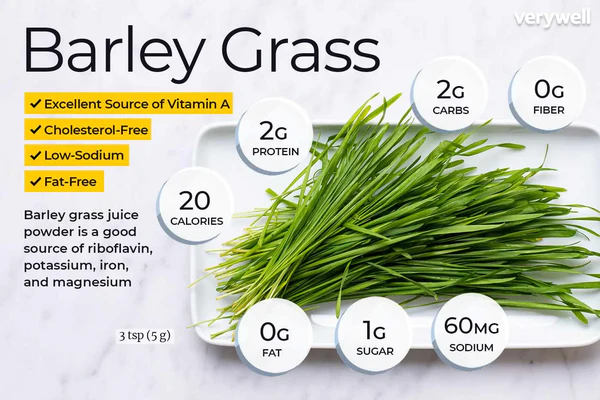 Naveta™ Barley Grass Powder 100% Pure & Organic - Image 9