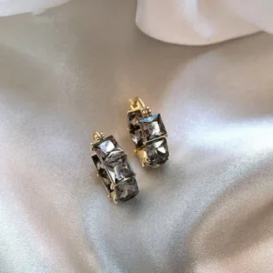 RadiantAllure™ Lymphvitic Magnetisch Earrings