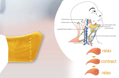 Dobshow™ 24KGold BeeVenom-Lymphatic Drainage Therapy