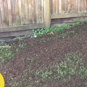LIMETOW™ Liquid Lawn Sprayer Set