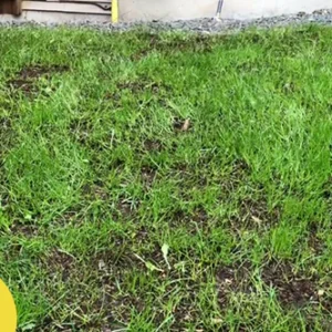 LIMETOW™ Liquid Lawn Sprayer Set