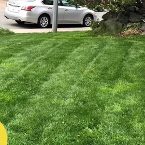 LIMETOW™ Liquid Lawn Sprayer Set