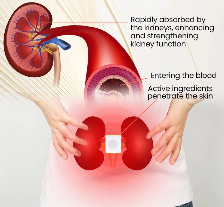 LindoRiva™ Kidney Freshy Patch