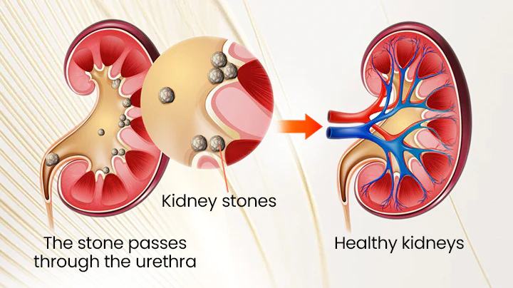 LindoRiva™ Kidney Freshy Patch