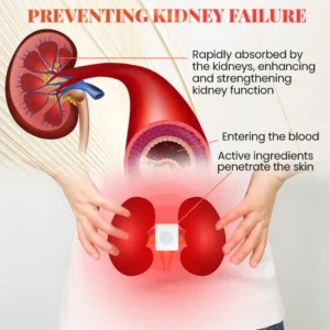 LindoRiva™ Kidney Freshy Patch