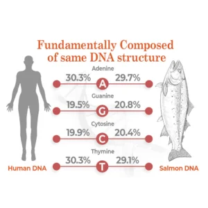 flysmus™ BioRegen PDRN Salmon DNA Ampoule