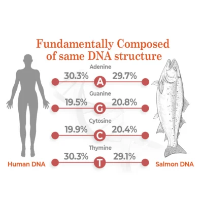 flysmus™ BioRegen PDRN Salmon DNA Ampoule
