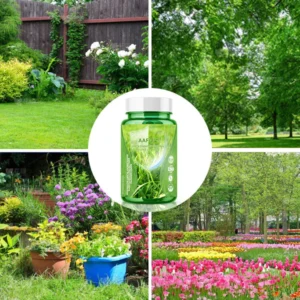 Alternative view of AAFQ™ Green Yinbao Nutritional Essence Capsules