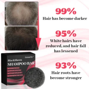 Ceoerty™ BlackSheen Shampoo Bar
