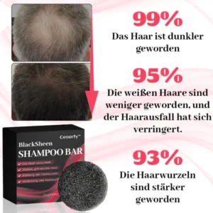 Ceoerty™ SchwarzerScheen Shampoo Bar