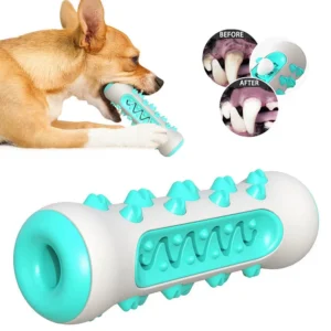 Alternative view of Dog Molar Toy