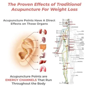 Futusly™ Lymph Flow Magnetogen Earrings