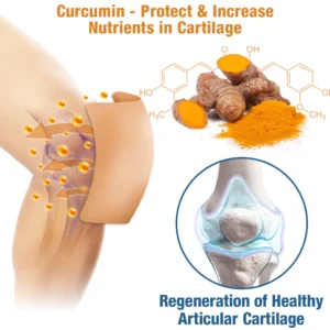 Alternative view of GFOUK™ ArthiCare Bee Venom Treatment Patch
