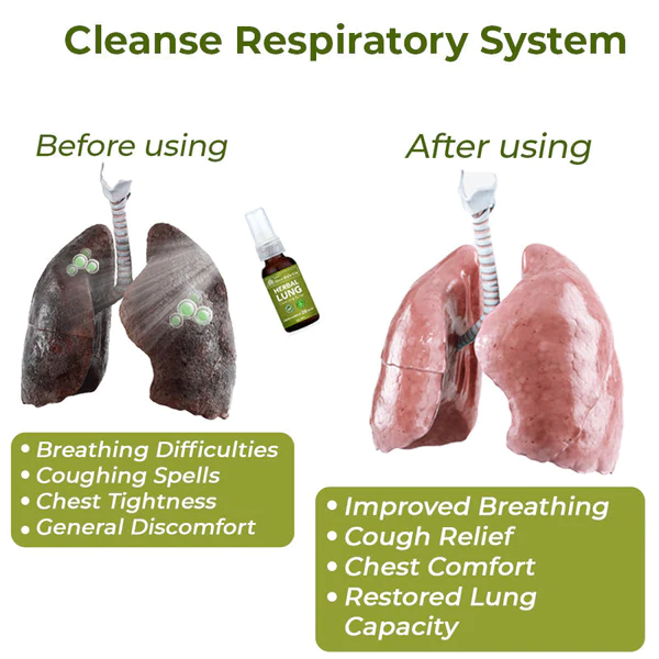 Hnbooka™️ BreathDetox Herbal Long Cleansing Spray