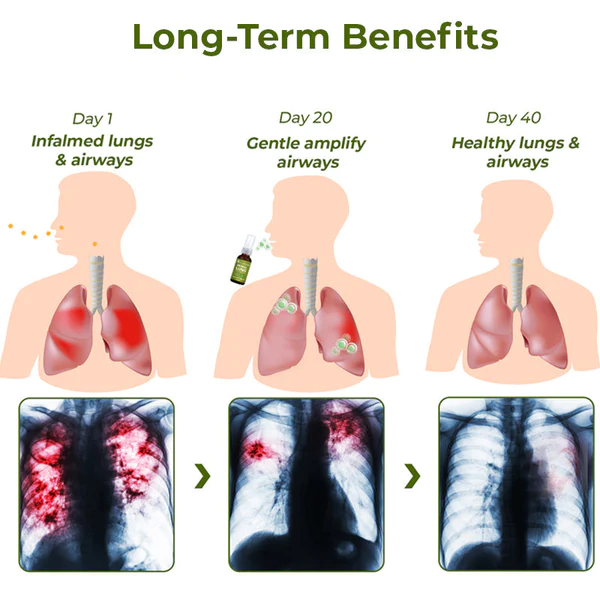 Hnbooka™️ BreathDetox Herbal Long Cleansing Spray