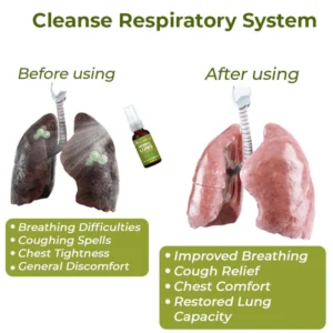 Hnbooka™️ BreathDetox Herbal Lung Cleansing Spray