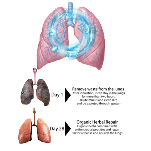 LungCare™ Organiese kruie-longreiniging en -herstel-stoomstorttablette