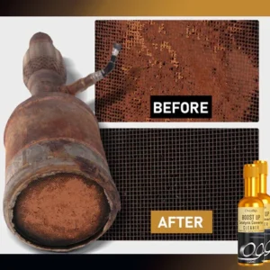 Alternative view of Oveallgo™ ProX BoostUp Catalytic Converter Cleaner