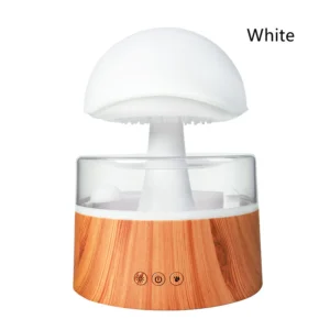 RoomRain Humidifier