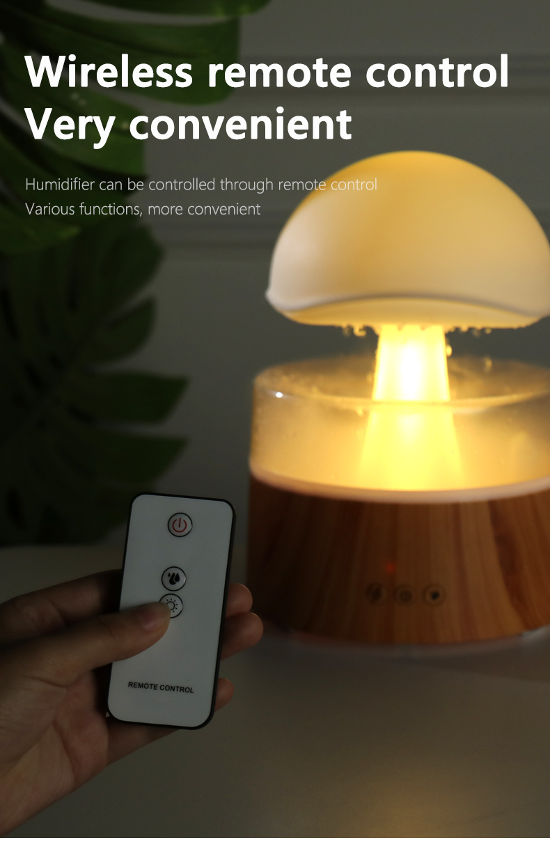 RoomRain Humidifier