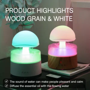 RoomRain Humidifier