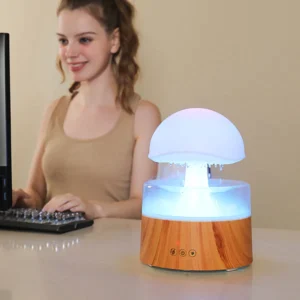 RoomRain Humidifier