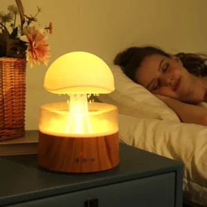RoomRain Humidifier