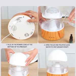 RoomRain Humidifier