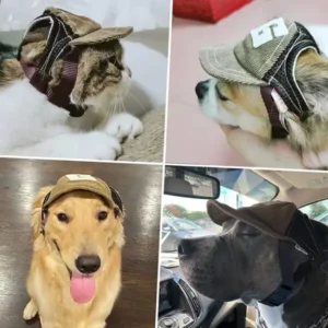 Alternative view of Sport Dog Hat