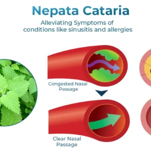 GFOUK™ NasoCalm Nasal Wellness and Turbinate Comfort Spray