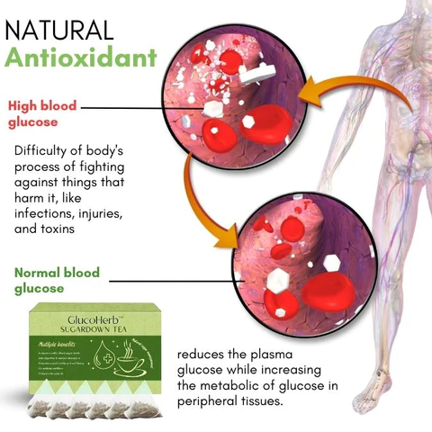 GlucoHerb™ SugarDown Tea