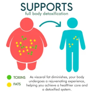 Healthify™ Visceral Fat Treatment Drops