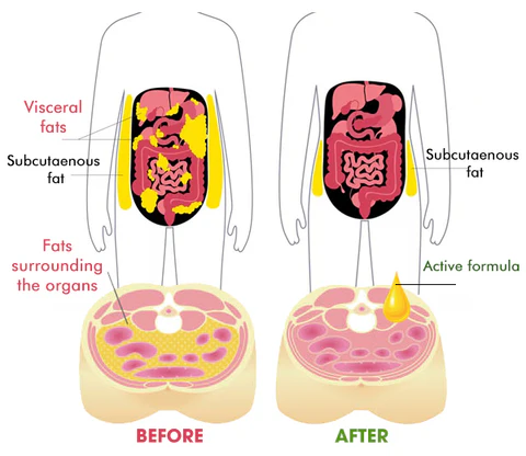Healthify™ Visceral Fat Treatment Drops 