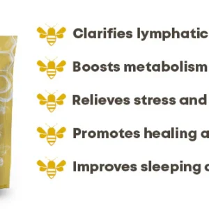 GFOUK™ Bee Venom Sculpting Lymphatic Detox Pads