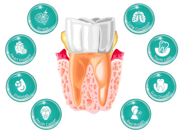 HERBALCARE™ Probiotics Bright Whitening Teeth Mousse