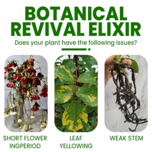 LIMETOW™ Botanical Revival Elixir