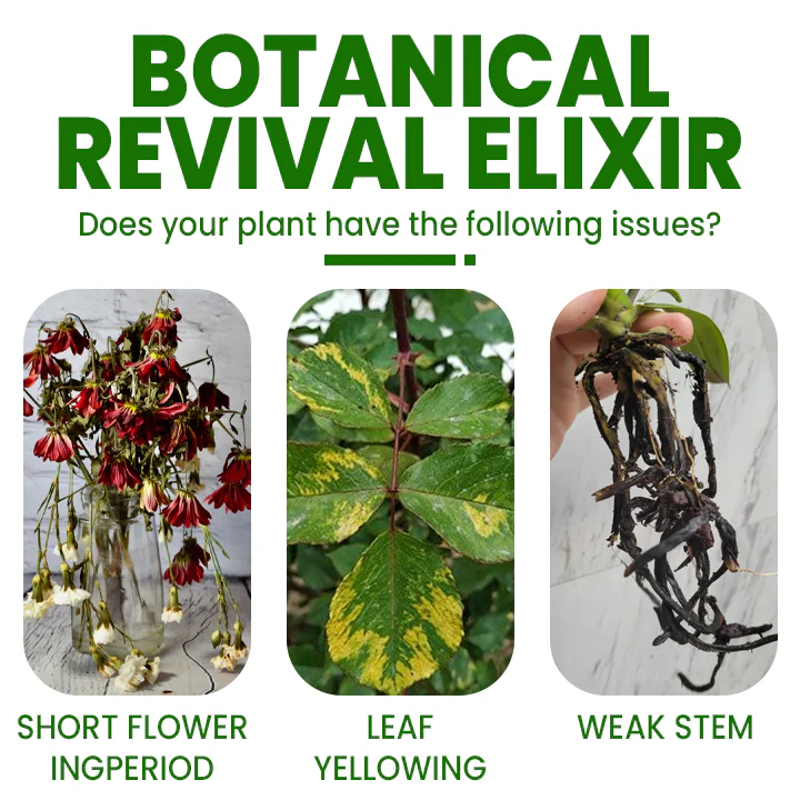 LIMETOW™ Botanical Revival Elixir