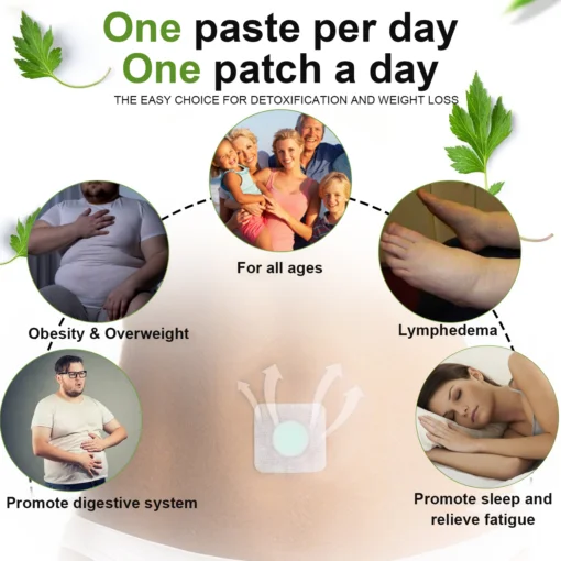 REFRLIFE™ Propolis Detox Slimming Patch