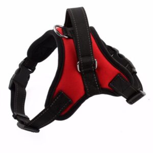 Adjustable Pet Harness
