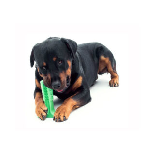 Dog Brushing Stick