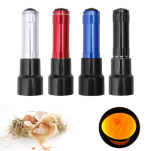 Egg Tester Light