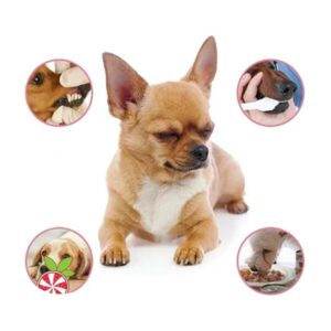 Pet Breath Freshener